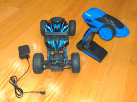Remote Control Rock Crawler Monster Truck for kids