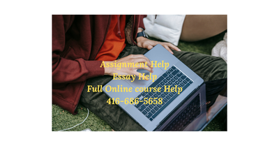 Urgent Essay Writing / Research Paper and Assignment Help, View more