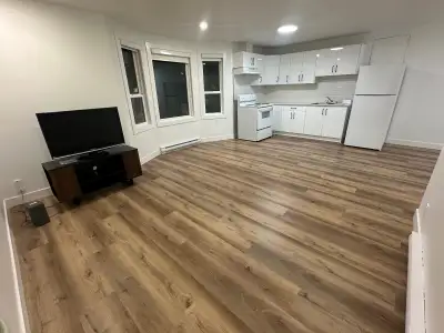 Newly renovated 1 bedroom apartment in the heart of Prince Rupert. Located across the street from an...