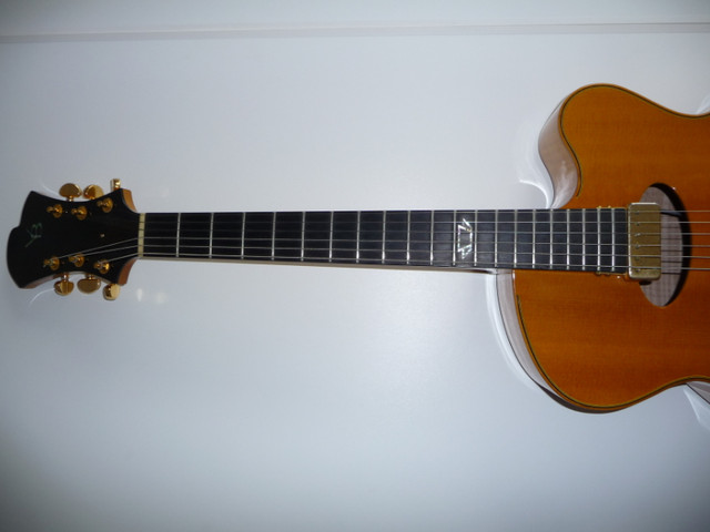 Victor Baker MODEL 14 FULL HOLLOW archtop GUITAR SALE! in Guitars in City of Toronto - Image 3