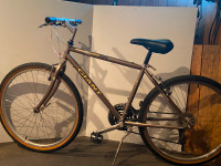 Vélo GIANT Gravel Bike
