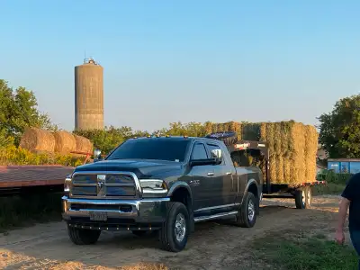 Hi there Iv got a 20 foot deck over and ramps to move your loads. Have trailered a lot of different...