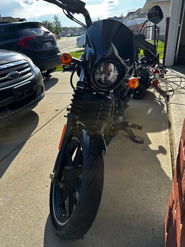 2018 Harley street 750 in Street, Cruisers & Choppers in Edmonton - Image 5