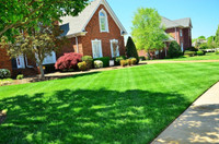 Landscaping and lawncare