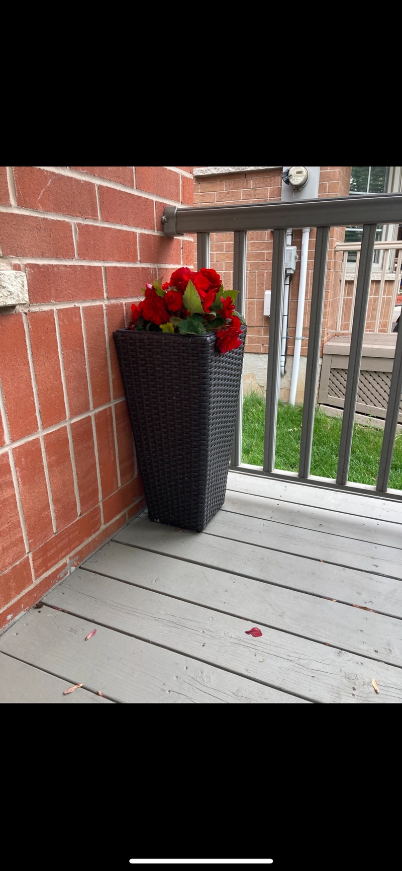 2 tall Planters Plants, Fertilizer & Soil Mississauga / Peel Region