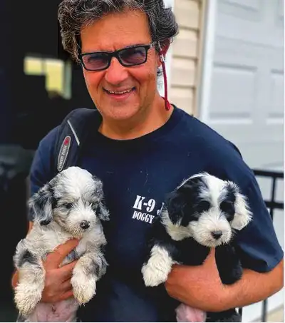 K9 Joe’s Training Academy, Doggy Hotel, Resort and Spa, Doggy Daycare, and Doggy Salon at (587) 332-...
