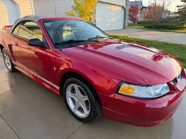 2000 Mustang 3.8L 567435742046464002