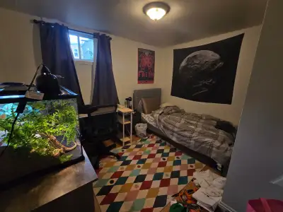 A private unfurnished room is available for rent in a 2 bedroom 1 bath apartment, in 5 minutes walki...