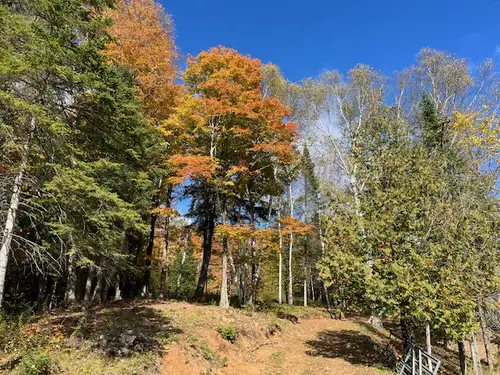 Discover 22 acres of beautiful, private land in Haliburton Highlands - a rare opportunity for nature...