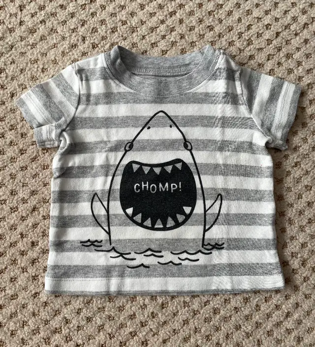9 Month Boys Summer Outfit in Clothing - 9-12 Months in Saskatoon - Image 4