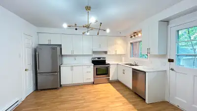 Angrignon, 5 1/2+ Basement for rent