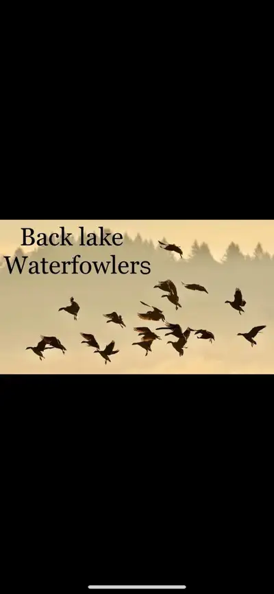 guided hunts, View more