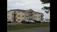 Quiet 2 bedroom unit with  ensuite  Washer& dryer available July