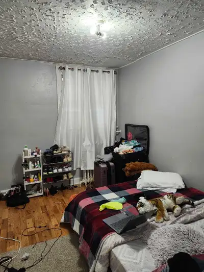Cozy 2 bed apt close to u of o - sep 2025