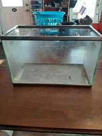Glass fish tank