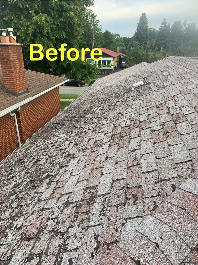 Roof repair/shingle replacement554748285520465923