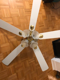 White/ Brown Reversible Ceiling Fan For Sale! Great Condition!