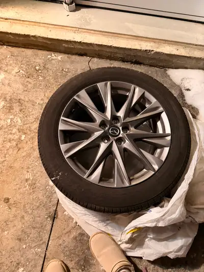 I have a set of all season tires and rims which came with the original car purchase. Those are the o...