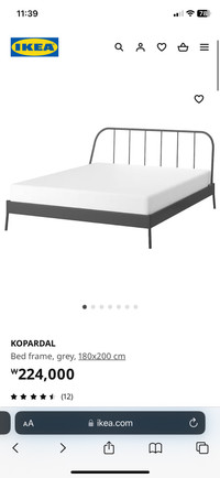 KOPARDAL Ikea metal double bed frame in gray