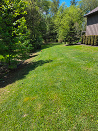 Lawn And Garden Services..