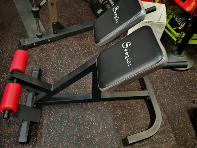Back extension bench484083974528061441