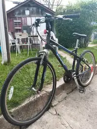Schwinn Bike 