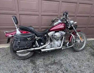 2002 Harley Davidson Softail FXSTI, fuel injected 88ci engine, 5 speed transmission. Screaming eagle...