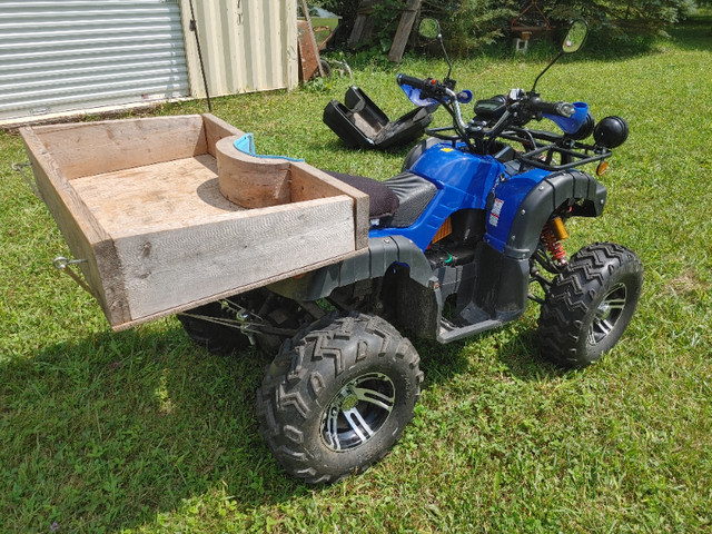 Electric ATV - Daymak Beast Ultimate Edition, in great condition in Other in Owen Sound - Image 2