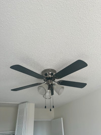 Ceiling fan + light