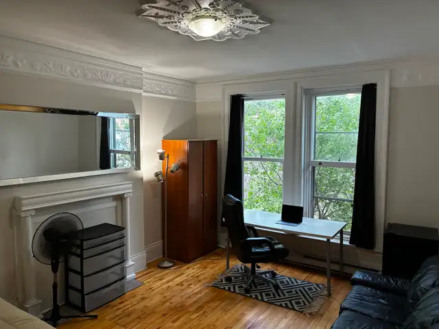 Big Furnished Room in elite Downtown location | Aug or Sept in Long Term Rentals in City of Montréal - Image 3
