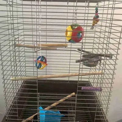  Bird cage for sale, View more