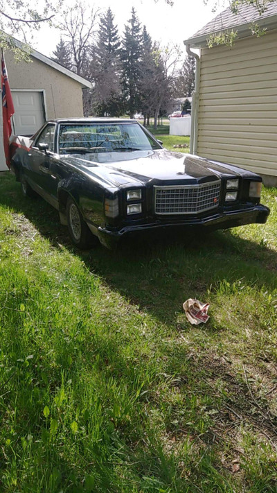 Two Ford Rancheros