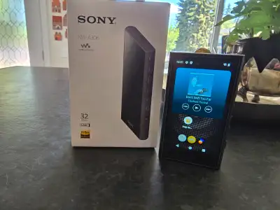 Sony NW-A30 Hi-Res Music Player with free Galaxy Pro Earbuds, View more