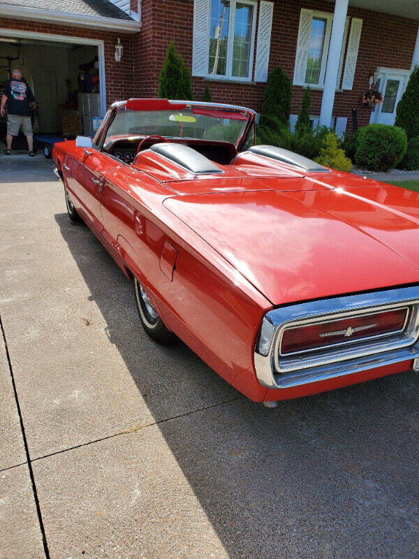 1964 Thunderbird  Roadster convertible in Classic Cars in Sarnia - Image 3