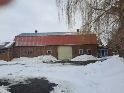 stalls, barn for boarding  and many buildings outside, View more