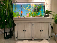 Up to 55 gallon aquarium stand