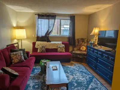 Furnished One Bed, One Bath Apartment for rent