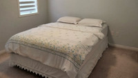 Queen Sz pillow top clean mattress with box spring dropoff $