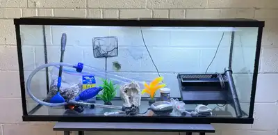 55 Gallon Fish Tank Complete Setup, View more