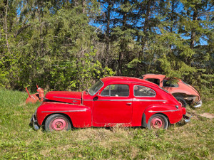 1962 volvo PV544 + parts car