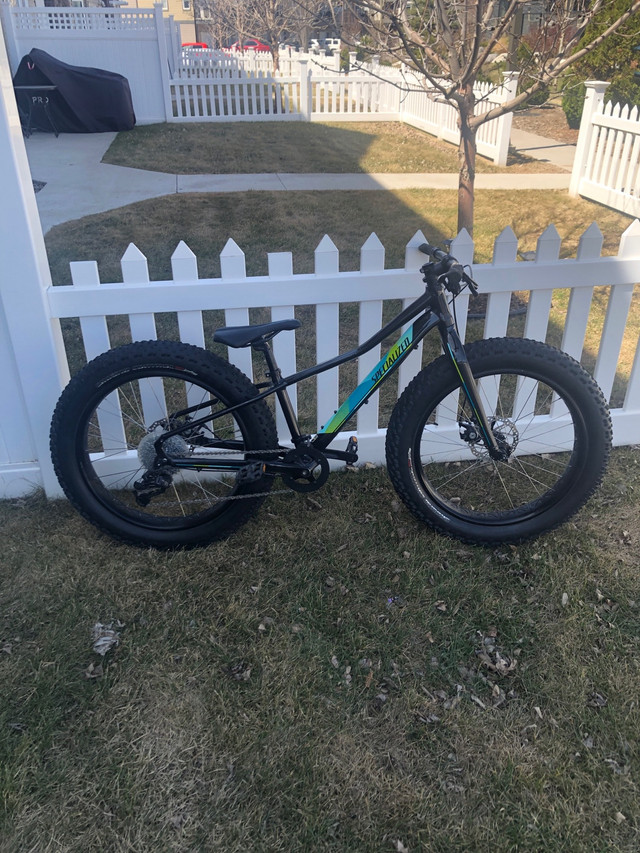 Specialized Fatboy 24 Kid/Youth Bike in Mountain in Saskatoon - Image 2