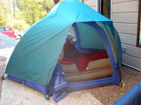 TENT: LL Bean 3-person tent