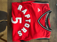 Toronto Raptors Jersey