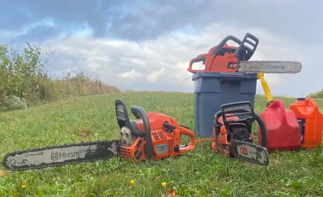 Chainsaw for Hire - Tree Maintenance - Storm Cleanup in Lawn, Tree Maintenance & Eavestrough in Summerside - Image 2