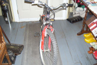 Young Mans Stunt Bike Cherokee Korado Kalin