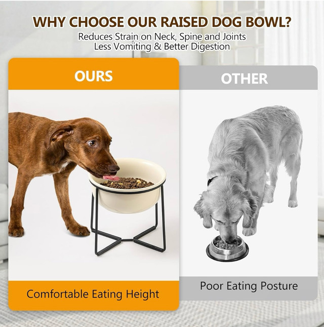 Elevated Large Dog Food Bowl: Beige in Accessories in Markham / York Region - Image 3