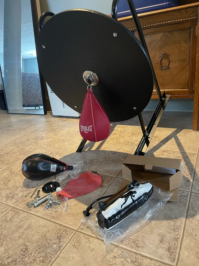 Speed Bags with wall mount in Exercise Equipment in Ottawa