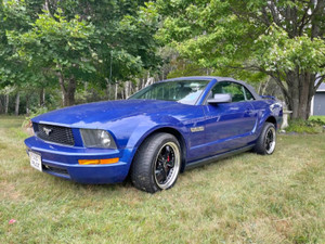 2005 Ford Mustang V6