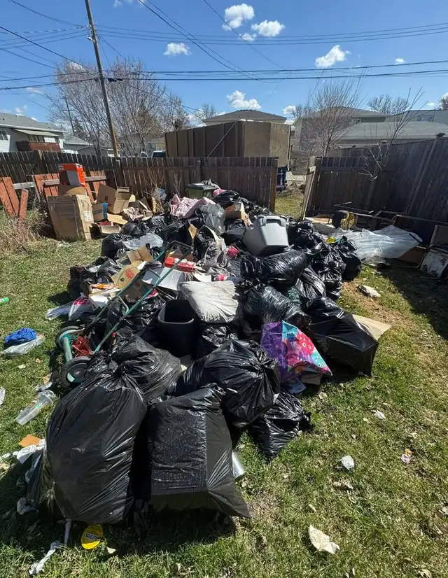 affordable moving and junk removal services63581887326977122