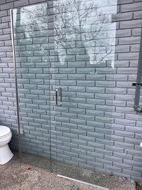 Glass shower door and panel 